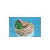 Model of Human Brain and Its Arteries