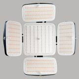 KN-8000A Hair Loss Therapy thumbnail-3