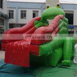 Inflatable Frog Water Slide/Used Fiberglass Water Slide for Sale thumbnail-2