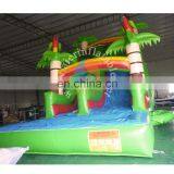Inflatable Jungle Water Slide, Giant Inflatable Water Slide, Cheap Inflatable Water Slides