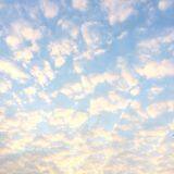 Guangdong Itea.co.,Ltd. company overview - view 1 thumbnail