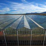Smart Greenhouse Customized, Multispan Commercial Greenhouse