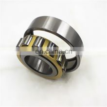 USA Germany Japan brands Cylindrical roller bearing RN205 RN205M 502205H reducer bearing