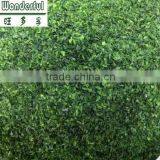 Ulva Flakes,green Seaweed,sea Vegetables,sea Lettuce thumbnail-3