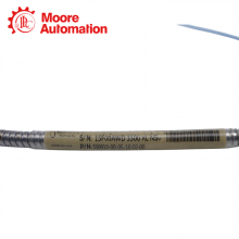 BENTLY NEVADA 330910-00-05-10-02-00 thumbnail-5