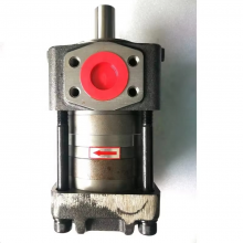 NT2 Hydraulic Pump NT2-G16F-180 Degrees High Pressure Internal Gear Oil Pump 32bar Bending Machine Pump thumbnail-4