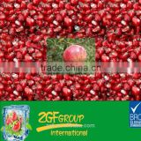 IQF frozen pomegranates with good quality