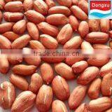 Fair Trade Red Peanut Kernels