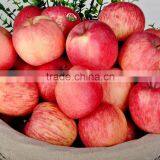 ARTS OF APPLES(1) thumbnail-5