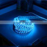 Two Row Blue Color 5050 SMD 120led /m IP68 Silicon Tube 12C DC White PCB LED Strip Light For Advertisement