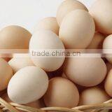 Most Popular!!! Industrial Egg Breaking Machine/egg Processing Equipment Quality Choice thumbnail-4
