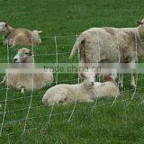 Galvanized Sheep Fence