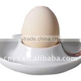 Ceramic Egg Dish Egg Plate
