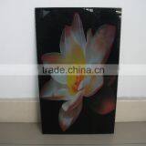 WALL MOUNTED Induction Home Heating FX900T thumbnail-4