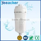 Household Skin and Hair Care shower water shower filter