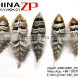 CHINAZP Bulk Sale Selected Prime Quality Natural 5-10cm Size Reeves Venery Pheasant Feathers for DIY Decorations thumbnail-5