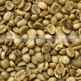 BULK ROBUSTA COFFEE/ ARABICA COFFEE GOOD PRICE WHOLE SALE
