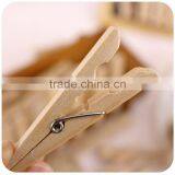 Wooden Clothes Peg thumbnail-1