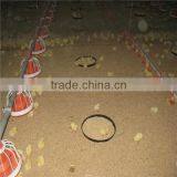 Poultry Layer Chicken Coop Farm Equipment thumbnail-2