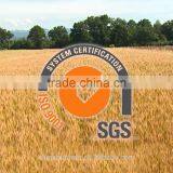 Amino Acid Organic Fertilizer Raw Material thumbnail-5