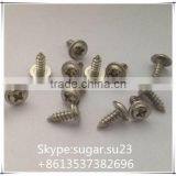 China Fasteners Stainless Steel Binding Post Screw thumbnail-2