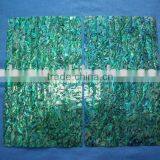 BLUE Painted Paua/abalone Shell Laminate