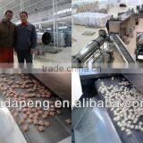 Made in China Stainless Steel Corn Flakes Extruder Machine thumbnail-2