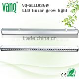 High par 3.3ft IP65 36W LED grow bar light for greenhouse