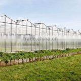 Baolida Low Cost Fruits and Vegetables Greenhouse Kits thumbnail-3