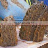 NATURAL STONE PETRIFIED WOOD TILES SLABS thumbnail-5