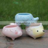 Cute Ceramic Animal Shape Planters for Succulent Plants thumbnail-2