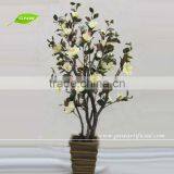 BLS034 GNW Tree Artificial Magnolia for Home Decoration