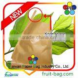 Small Bag Taiwan Factory Wax Apple Protection Paper Bag Custom Packaging Bag thumbnail-6