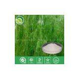 White Willow Bark Extract