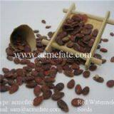 Red Watermelon Seeds thumbnail-1