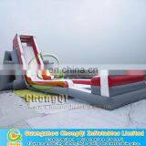 Cheap Giant Inflatable Water Slide for Adult
