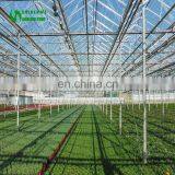 The Cheapest Hot Sale And Easily Installed Multispan Glass Greenhouse thumbnail-6