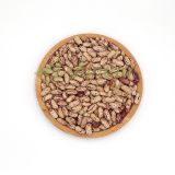 New Crop Hot Sale Good Quality Light Speckled Kidney Beans