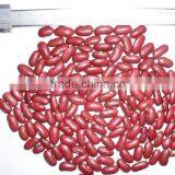 Red Kidney Bean thumbnail-1