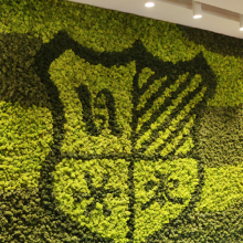 high quality wholesale competitive price customizable moss wall panel preserved