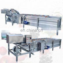 Multifunctional Dried Rinsing Cleaner Air Tomato Ginger Bubble High Pressure Surf Type Fruit Wash Machine thumbnail-5