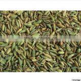 Fennel Seed thumbnail-2