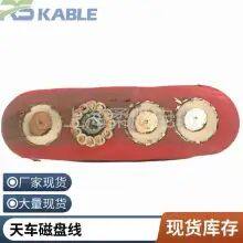 2*25 2*35 With Steel Wire Crane Disk Wire Crane Cable Wire Wear Resistance Anti-corrosion Anti-UV Anti-aging Anti-tensile Cold Resistance and Low Temperature Resistance Support thumbnail-2