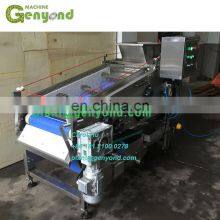 Energy Saving Apple Juice Belt Press / Juicer Machine thumbnail-2