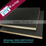 Green Plastic Faced Plywood thumbnail-1