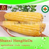 2015 hot sale new products for frozen sweet corn kernels