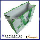 Standard Size Shopping Bag