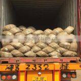 Hebei Zekai Import And Export Trading Co., Ltd. company overview - view 2 thumbnail