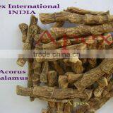 Herb Acorus Calamus / Buch / Acorus Calamus Root / Acorus Root Powder TBC