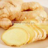 Hot Sale Organic 2016 Fresh Ginger thumbnail-4